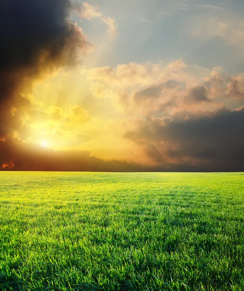 Por do sol no céu dramático sobre o campo verde — Fotografia de Stock