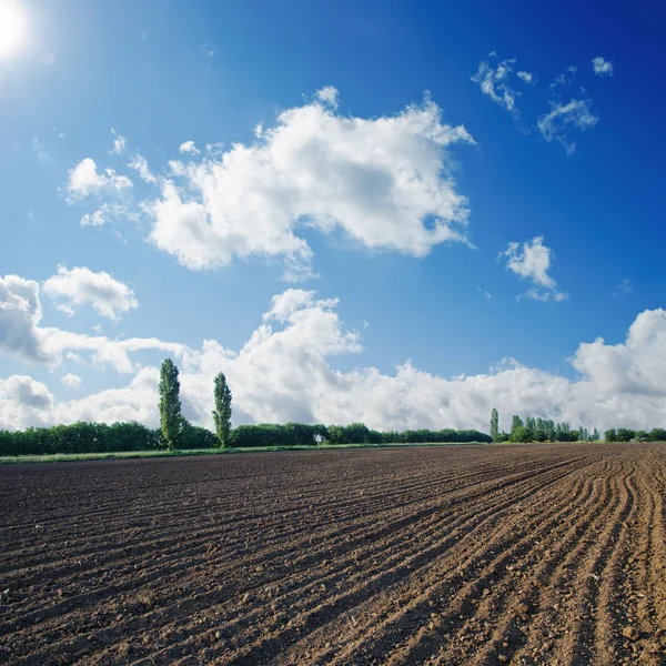 stock image Black ploughed field under blue sky with sun
