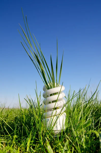 Lampe à économie d'énergie dans le champ vert — Photo