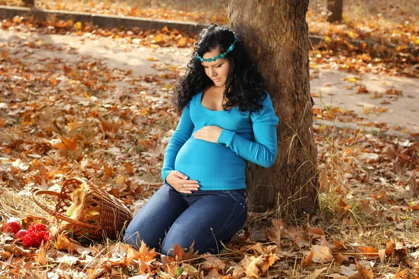Piękna kobieta w ciąży w parku jesień, na zewnątrz — Zdjęcie stockowe
