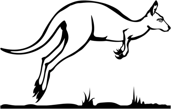 Zwart-wit kangoeroe vector — Stockvector