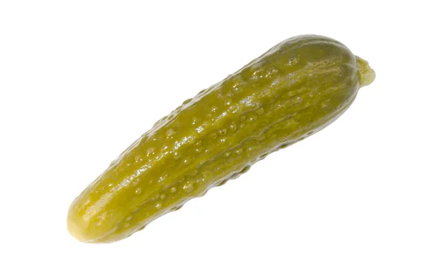 Gherkin isolated — Stock Photo, Image