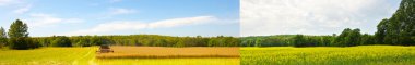 Wide angle side by side field in fall and summer.