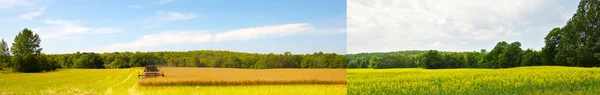 Wide angle side by side field in fall and summer. — Stock Photo, Image