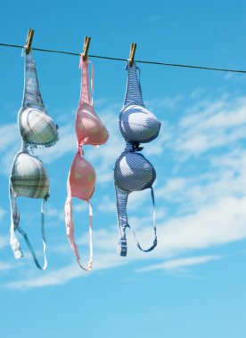 Three pretty bras drying. clipart