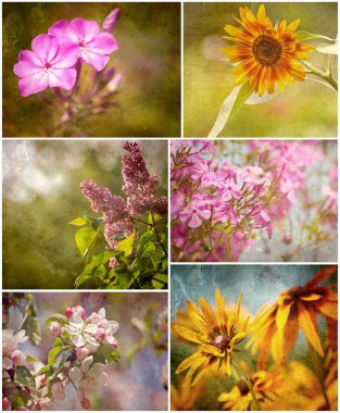 Textured flowers collage. clipart