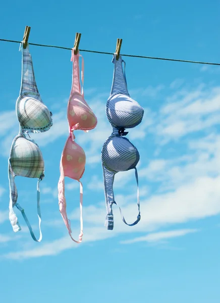 Three pretty bras drying. — Stock Photo, Image