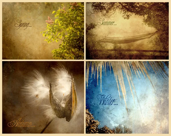 Seasons collage. — Stock Photo, Image