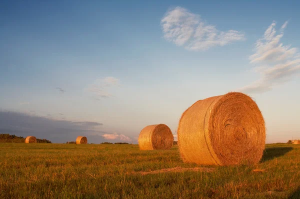 Stacks in the field — Stock Photo, Image