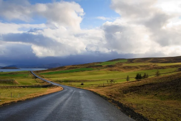 冰岛的道路 — 图库照片