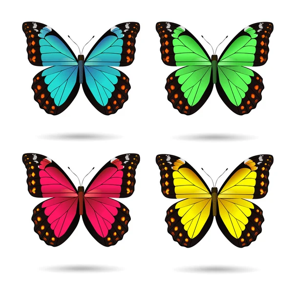 stock vector Multicolored butteflies