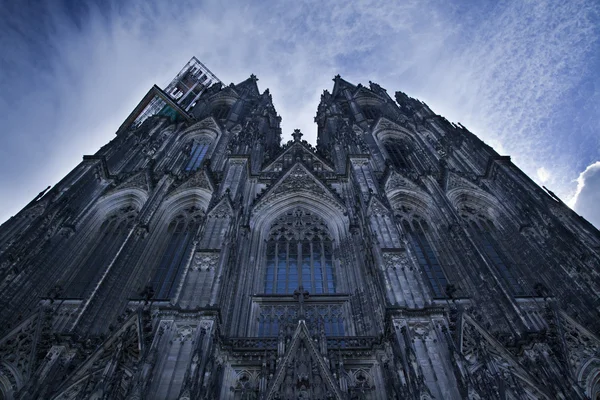 Köln Dom — Stok fotoğraf