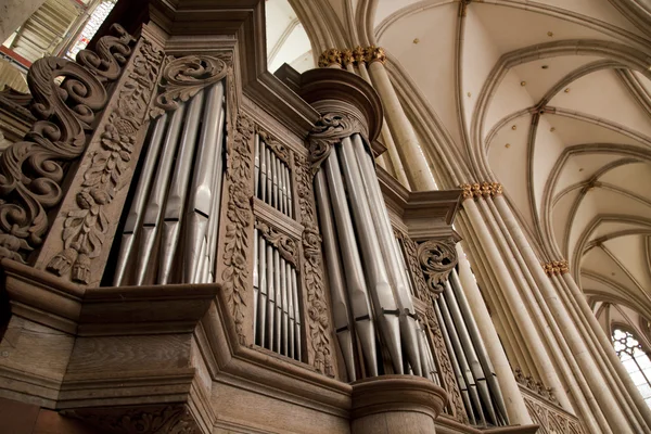 Organo musicale Immagini Stock Royalty Free