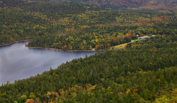 stock image Lake and forest