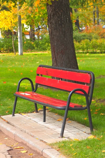 Скамейка в парке отдыха осенью — стоковое фото