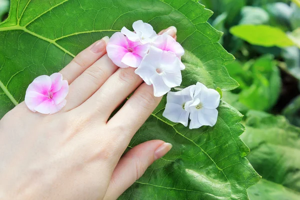 Hand, flower and leaf — Stock Photo, Image