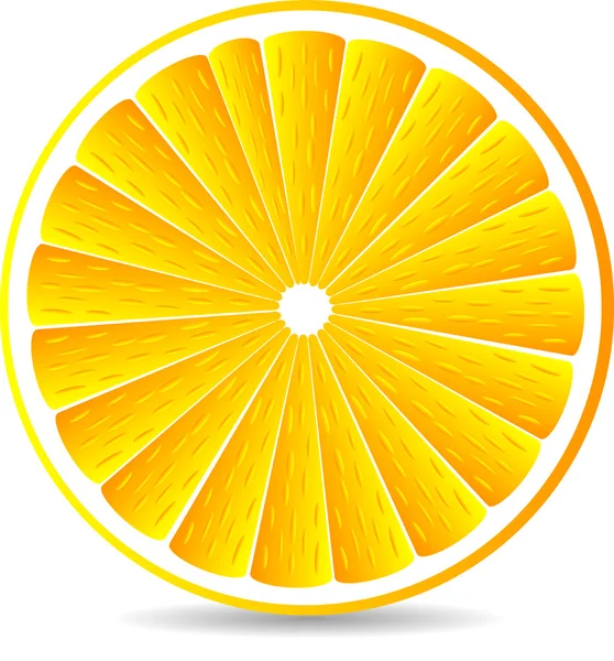 Narancssárga szegmens — Stock Vector