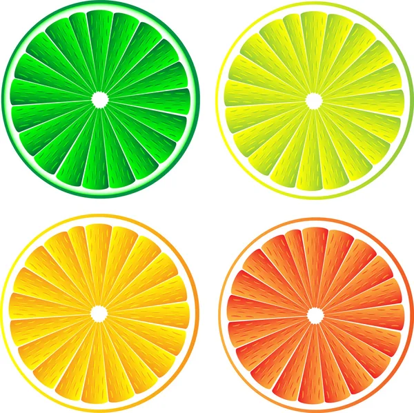 Citrusfrukter skivor isolerad på vit — Stock vektor