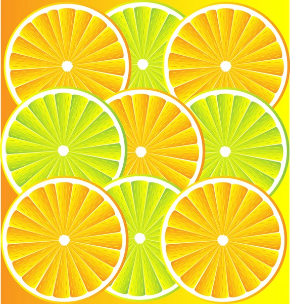 Citrus fruit background vector — Stock Vector
