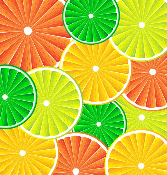 Citrus fruit background vector — Stock Vector