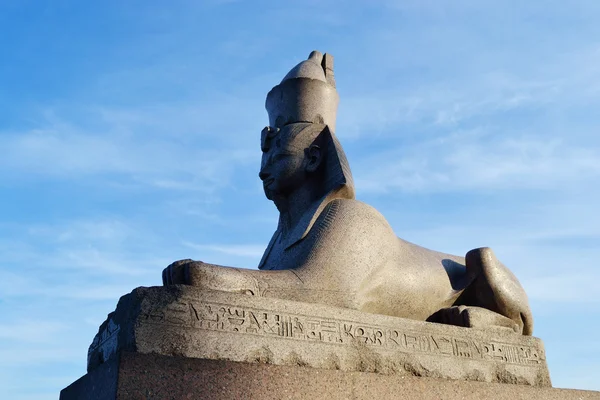 Sphinx, Saint-Pétersbourg — Photo