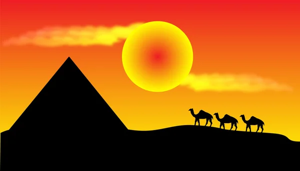 Západ slunce v poušti — Stockový vektor