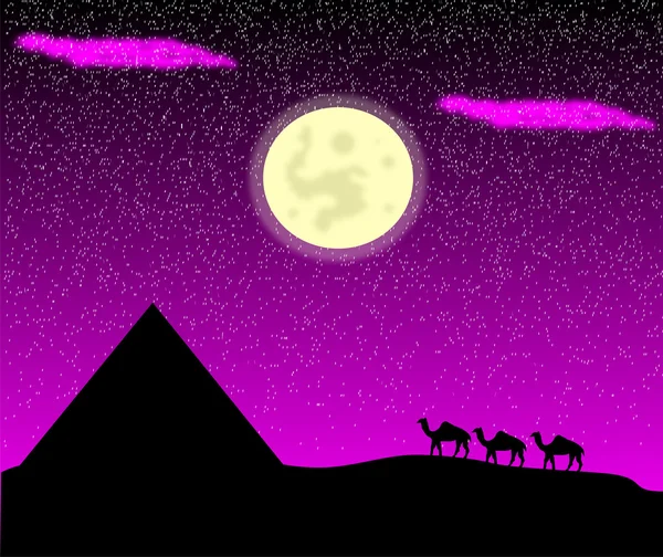 Nuit dans le désert — Image vectorielle