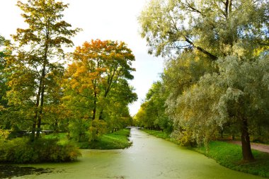 Tsarskoe selo canal
