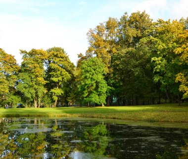 Güz Parkı 'ndaki göl