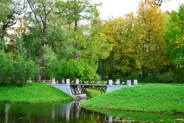 The bridge in Alexander`s park in Tsarskoe Selo clipart