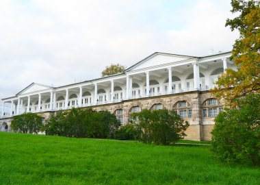 Saray tsarskoe Selo.