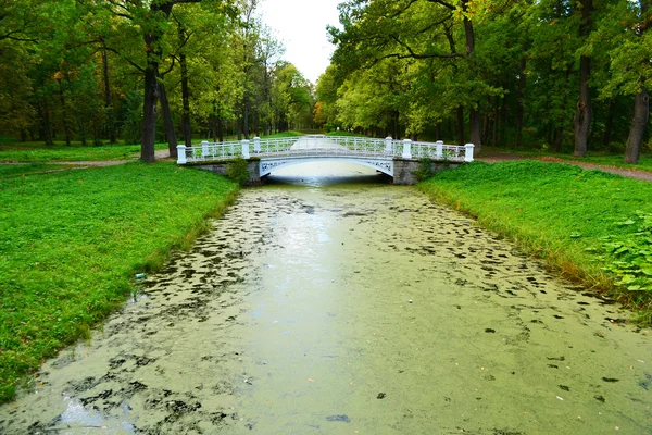 El puente en el parque de Alejandro en Tsarskoe Selo —  Fotos de Stock