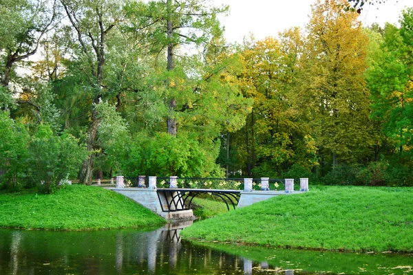セローの Tsarskoe 公園のアレクサンダーの公園の橋 — ストック写真