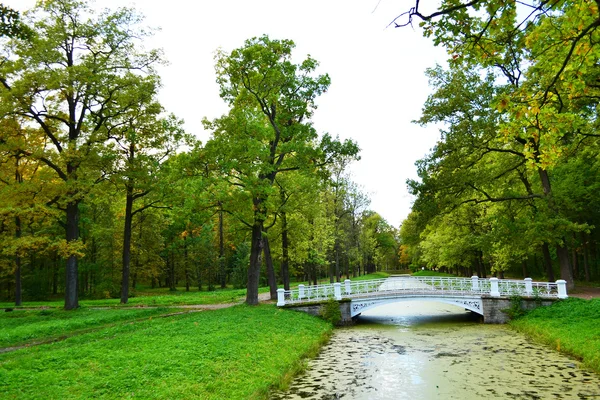 El puente en el parque de Alejandro en Tsarskoe Selo — Foto de Stock