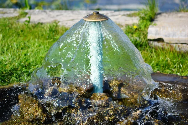 Маленький фонтан в Петергофе — стоковое фото