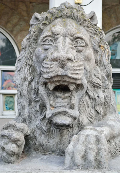 Kamenná socha lva v Petrohradu — Stock fotografie