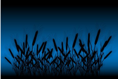Field of wheat at night clipart