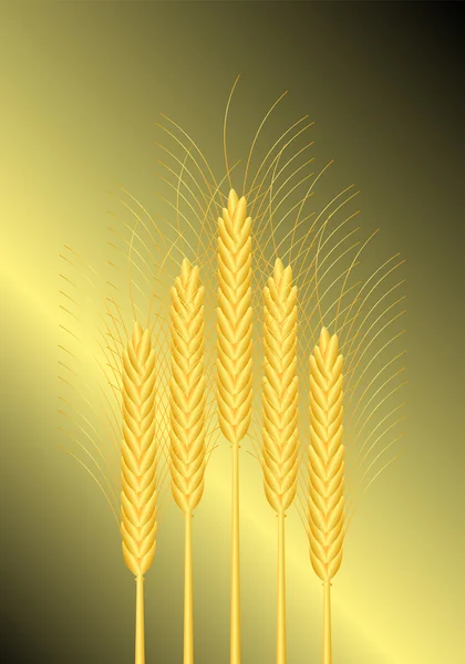Fundo com trigo —  Vetores de Stock