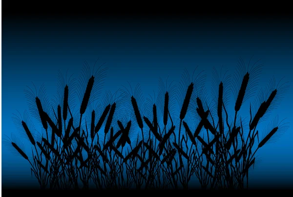 Field of wheat at night — Stock Vector