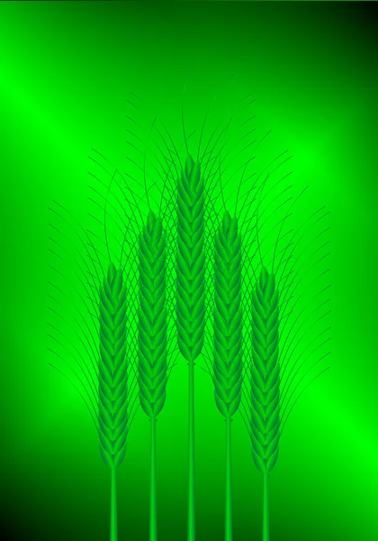 Фон з пшениці — стоковий вектор