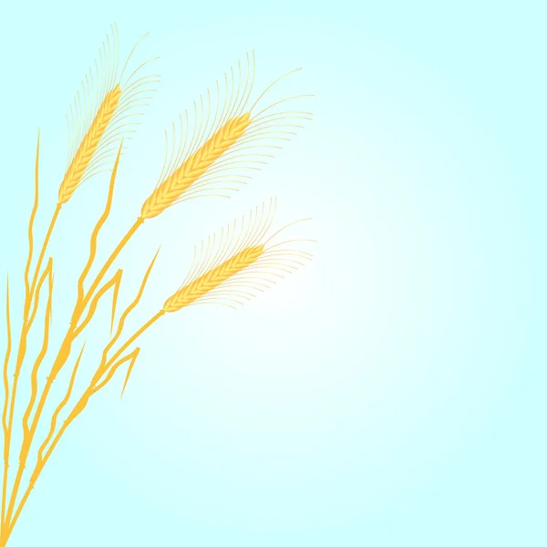 Fondo con trigo — Vector de stock