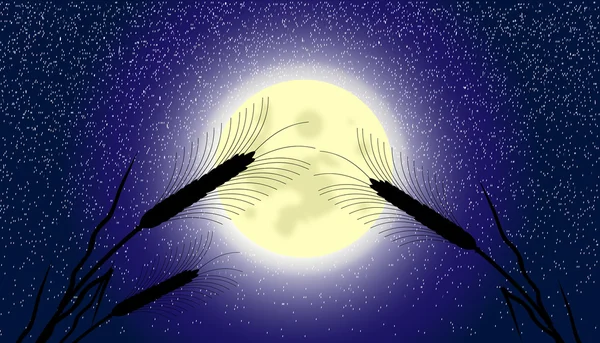 Orecchie di grano di notte al chiaro di luna — Vettoriale Stock