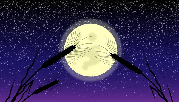 Öronen av vete vid månljus natt — Stock vektor