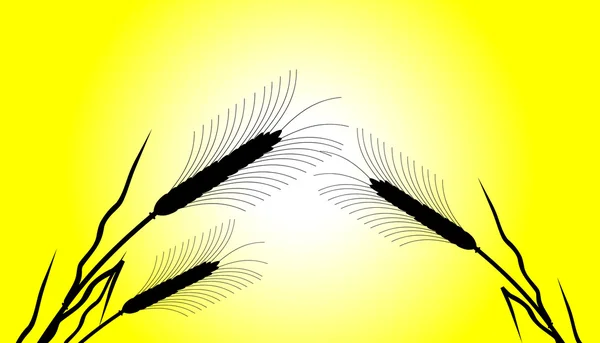 Épis de blé au coucher du soleil — Image vectorielle