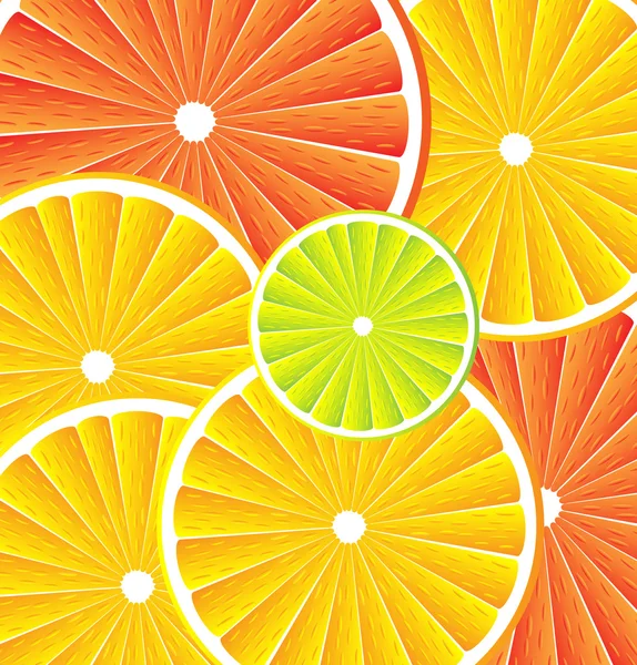 Citrus fruit background - vector — Stock Vector