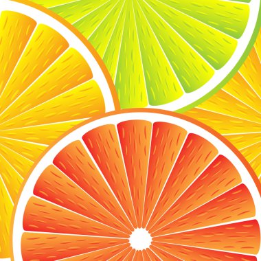 Citrus fruit background - vector clipart