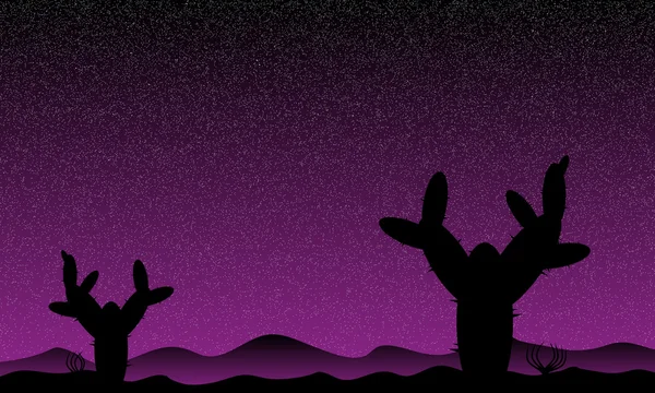 Mexiko pouštní noc s kaktus rostliny — Stockový vektor