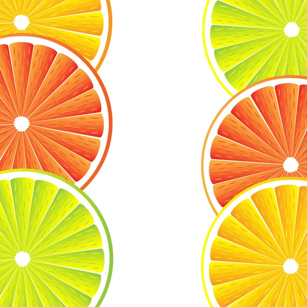Citrusvruchten achtergrond - vector — Stockvector