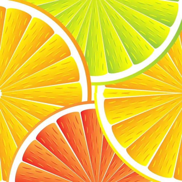 Цитрусовий фруктовий фон вектор — стоковий вектор