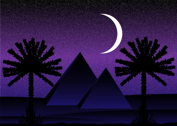 Sahara desert with egyptian pyramids at night — Stock Vector